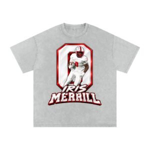 Iris Merrill Snow Washed Oversized TEE - Image 3