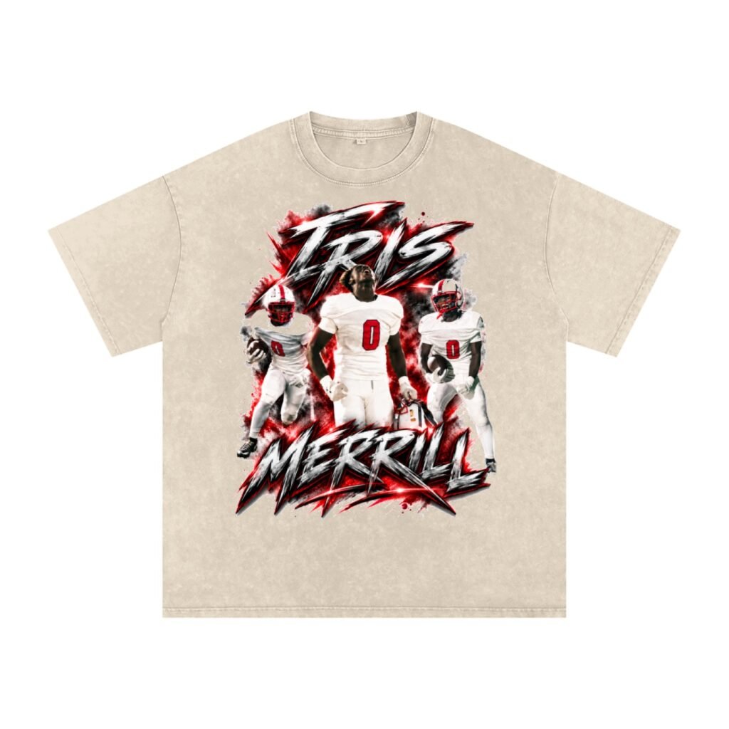 Iris Merrill Snow Washed Oversized TEE