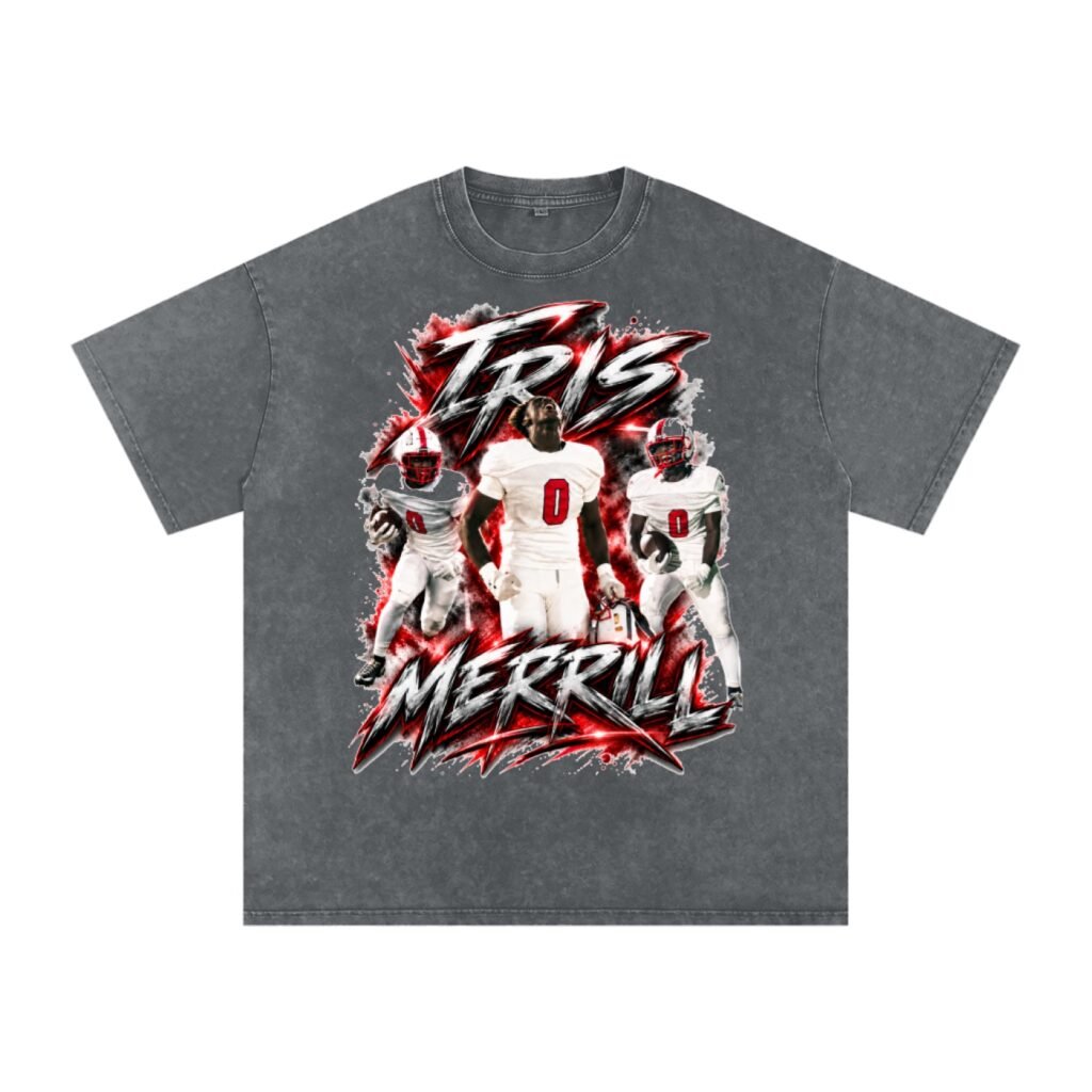 Iris Merrill Snow Washed Oversized TEE