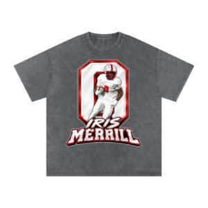 Iris Merrill Snow Washed Oversized TEE - Image 4
